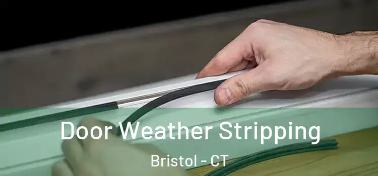 Door Weather Stripping Bristol - CT